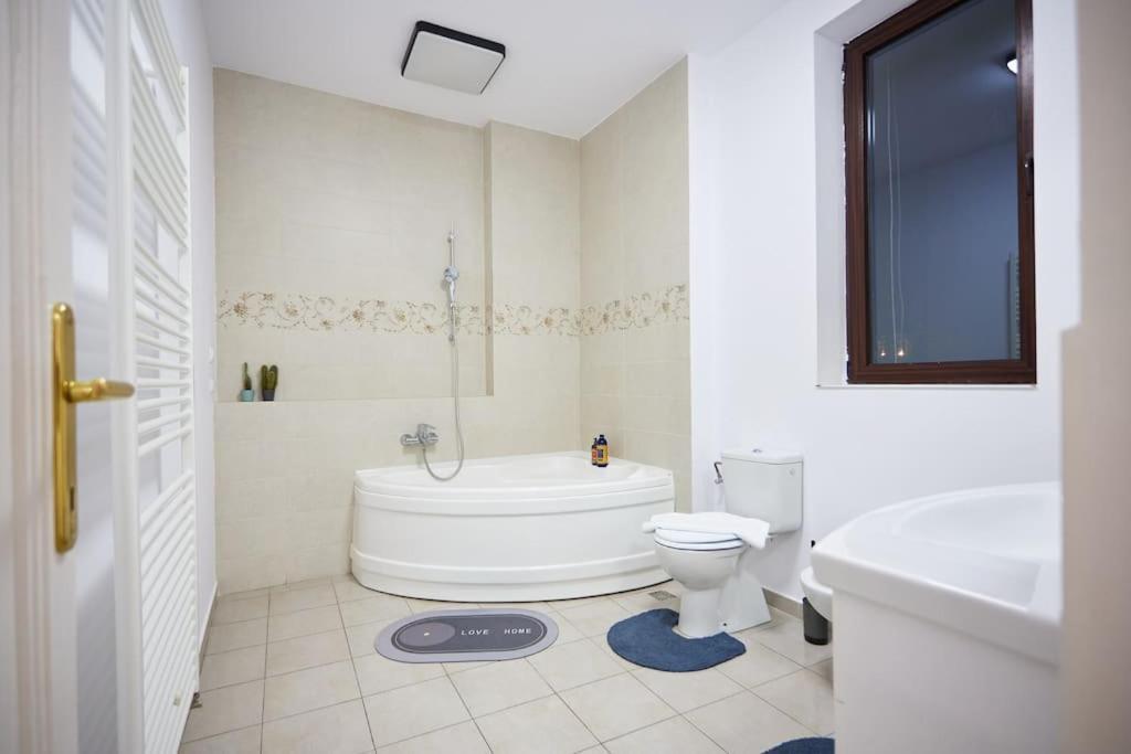 Caragiale Apartment بوخارست المظهر الخارجي الصورة